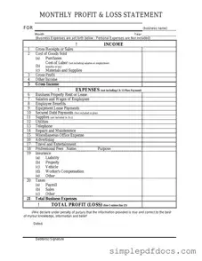 Fill Your Profit And Loss Form